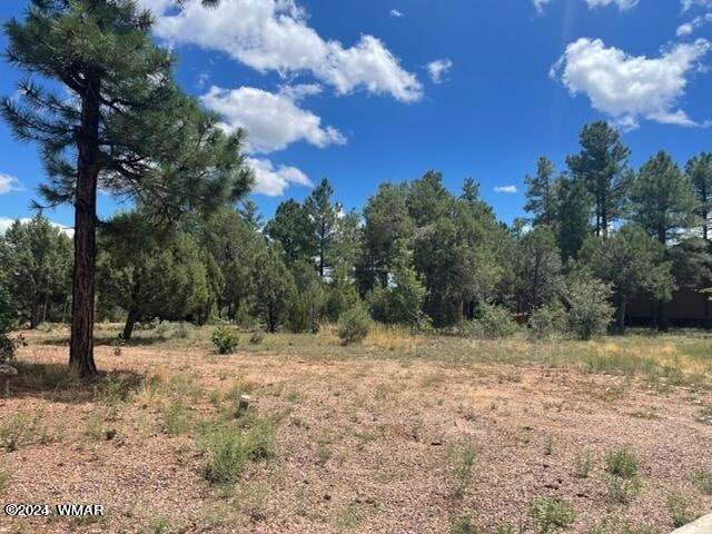 641 Campbell Ln, Show Low, AZ 85901 - photo 1