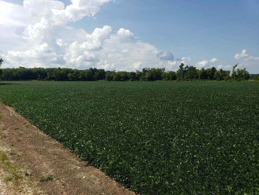 0 Little Walnut Rd, Ashville, OH 43103 - photo 1