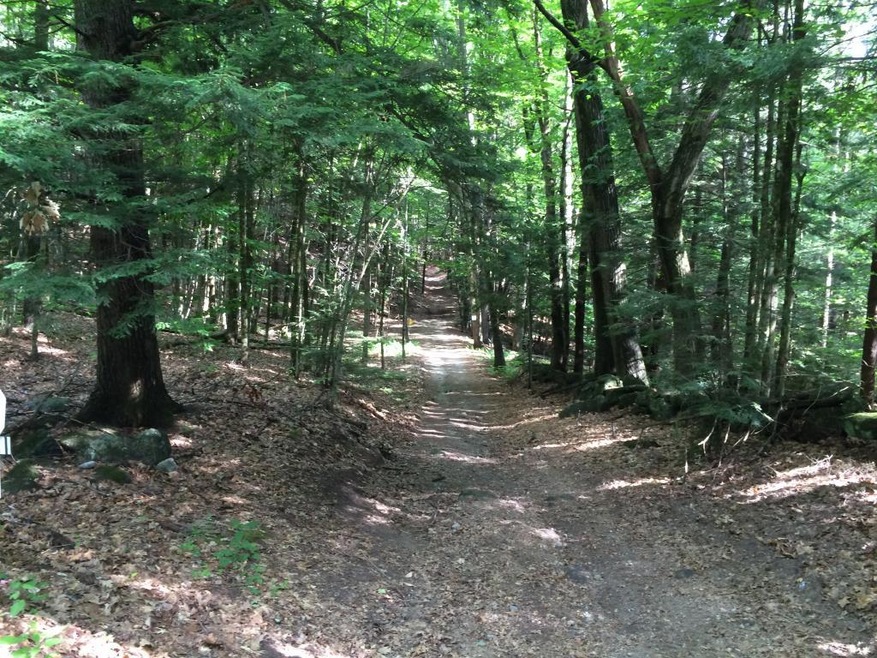 0 Sulphur Hill Rd unit 4507259, Hillsborough, NH 03244 - photo 1