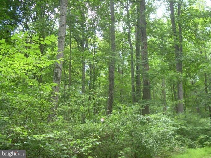 0 Cannon Ridge Ln unit 1004512532, Middleburg, VA 20117 - photo 1