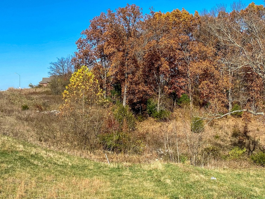 857 E Richmond Way, Nixa, MO 65714 - photo 1