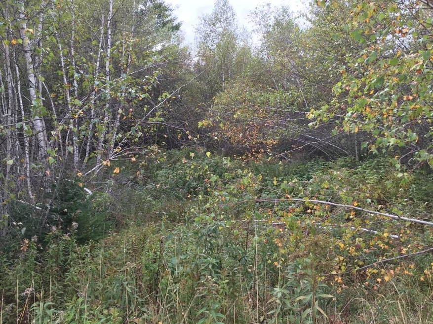 Map/Lot 01 Darling Rd, Hudson, ME 04449 - photo 1