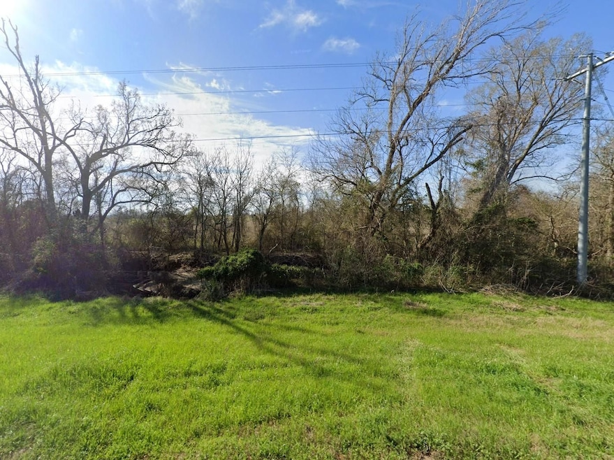 County Rd, Navasota, TX 77868 - photo 1
