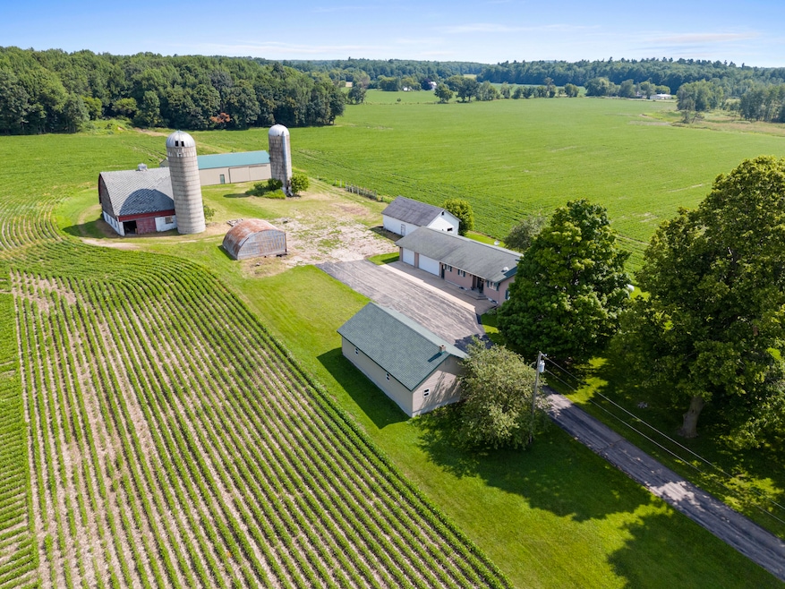 Drone view