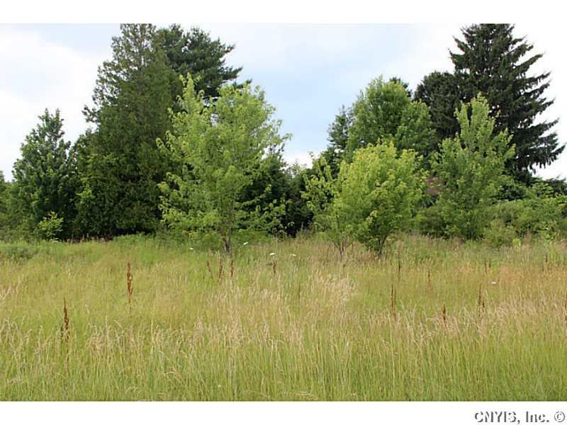 Land/Lot.