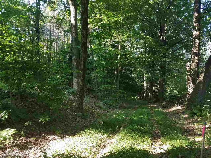 0 Welcome Hill Rd unit Lot 14 B8 4765687, Chesterfield, NH 03466 - photo 1
