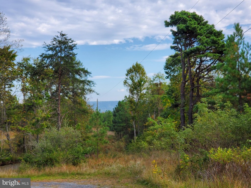 50.74 Acres Apple Harvest Dr, Gerrardstown, WV 25420 - photo 1