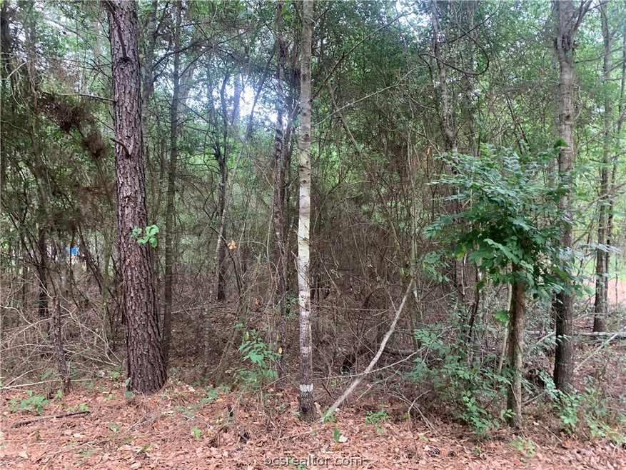 001 Pin Oak Dr, Plantersville, TX 77363 - photo 1