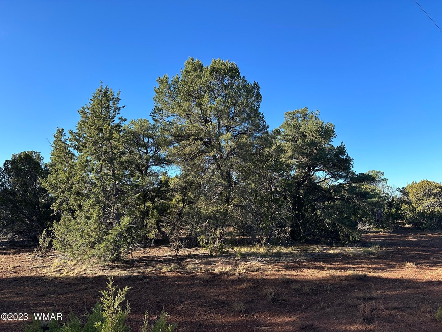3480 PInon and Junipers