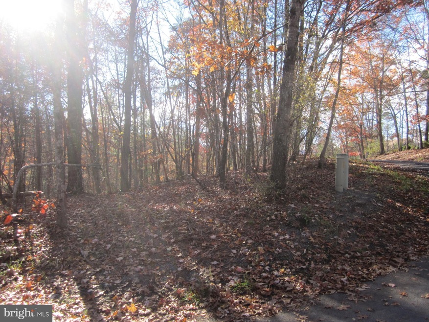 0 Anderson and Lee Corner unit VASH2001406, Basye, VA 22810 - photo 1