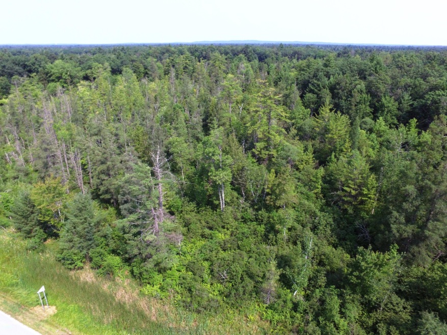 DJI_0005