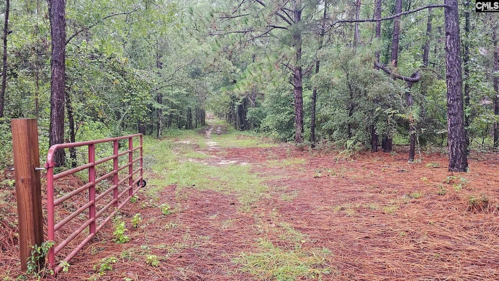 3064 Highway 1 N, Cassatt, SC 29032 - photo 1