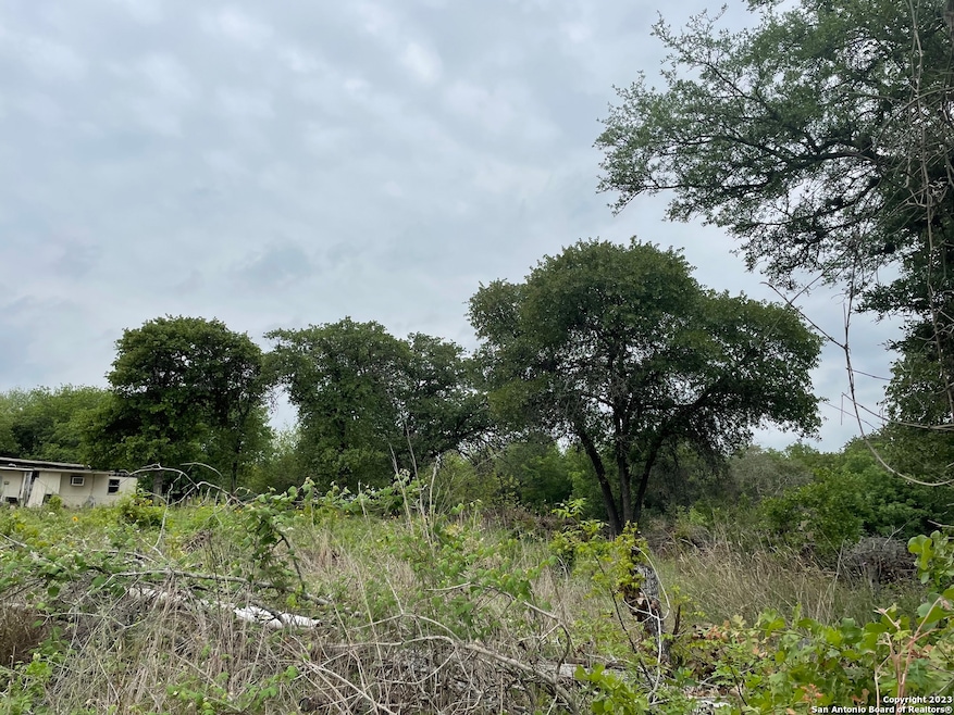 1223 Dupont, San Antonio, TX 78264 - photo 1