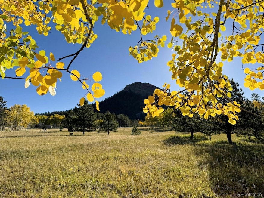 1965 Vagabond Creek Dr unit 9, Lake George, CO 80827 - photo 1