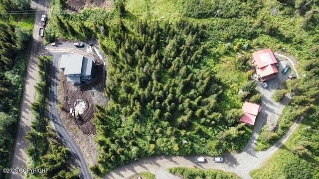 L13A B4H Viola Cir, Anchorage, AK 99516 - photo 1