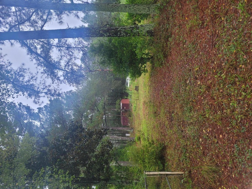 Driveway Entrance