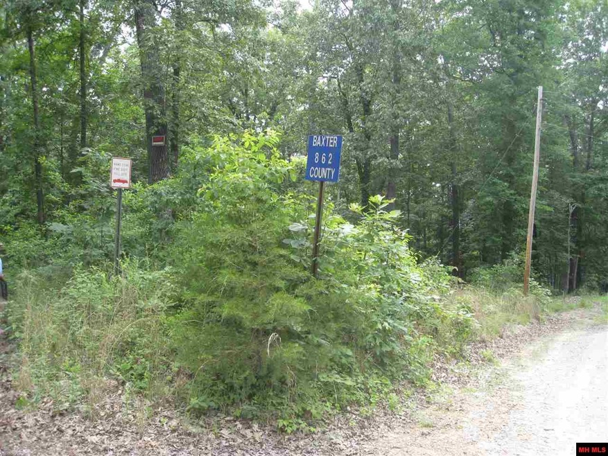 0 Diamond Bay Rd, Union Township, AR 72531 - photo 1