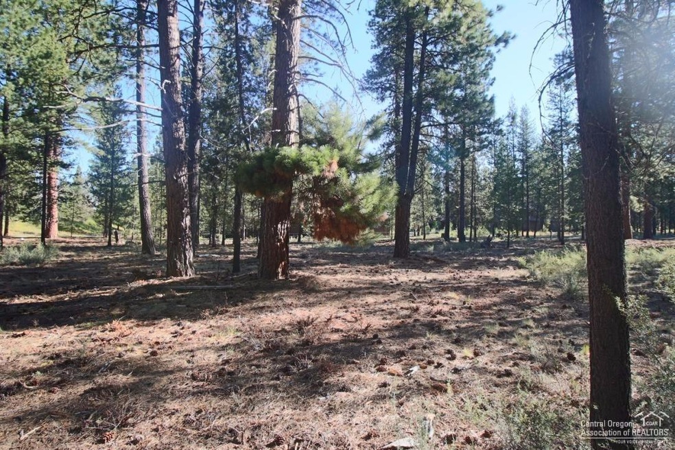 Primary Photo