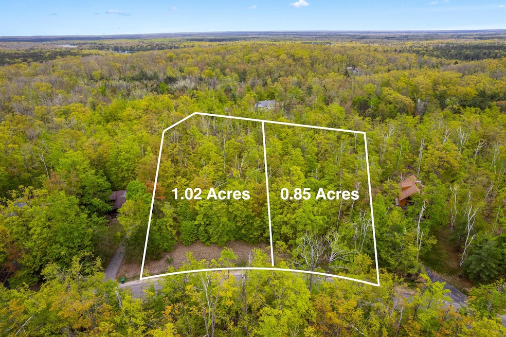 L1596&1597 Pheasant Run, Otsego Lake Township, MI 49735 - photo 1