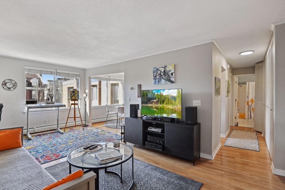 1770 Bryant Ave S Unit 411, Minneapolis, MN 55403 MLS NST6488013