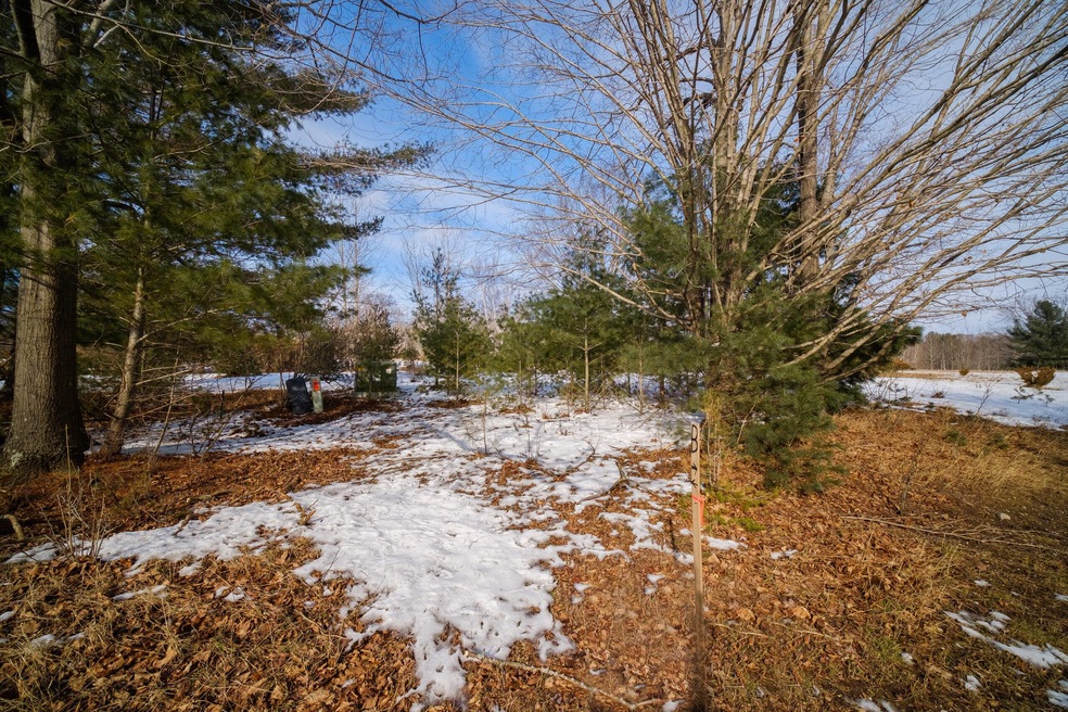 Mix of hardwood, pine and meadow