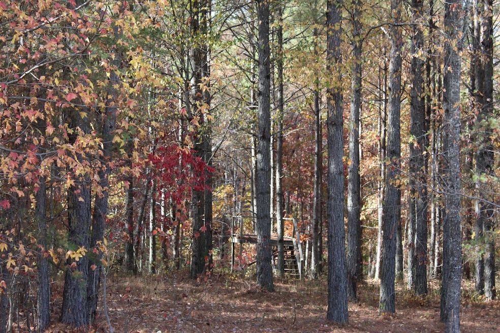 465 Compass Dr, Jasper, TN 37347 - photo 1