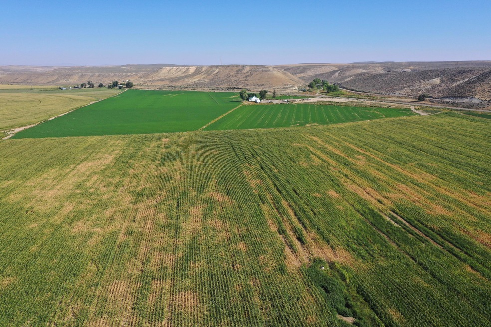 Eastern Oregon Farm for Sale