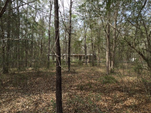 154 Whitlock Way, Crawfordville, FL 32327 - photo 1