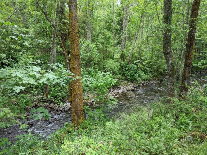 Creek