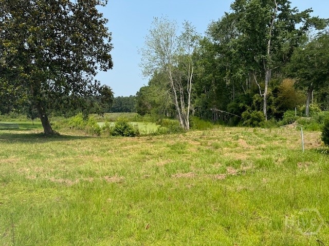 0 Us Hwy 17 unit 327199, Townsend, GA 31331 - photo 1