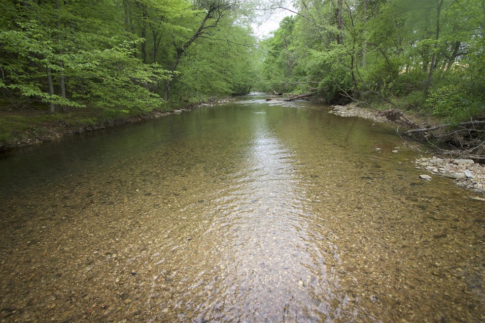 Wow! Gorgeous Creek at Edge of Property