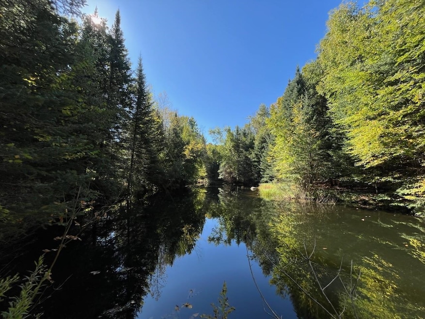 0 Fire Lane Rd, Evergreen, WI 54491 - photo 1