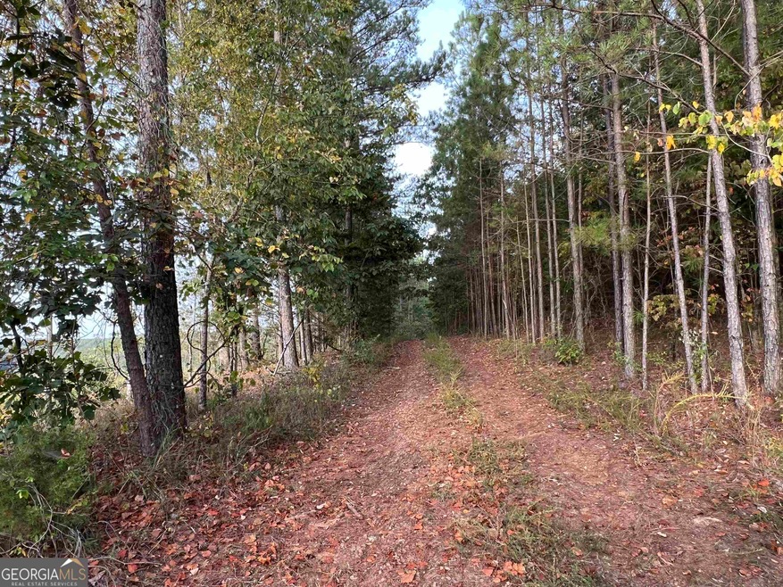 0 Big Ditch Rd NW unit 20153083, Adairsville, GA 30103 - photo 1