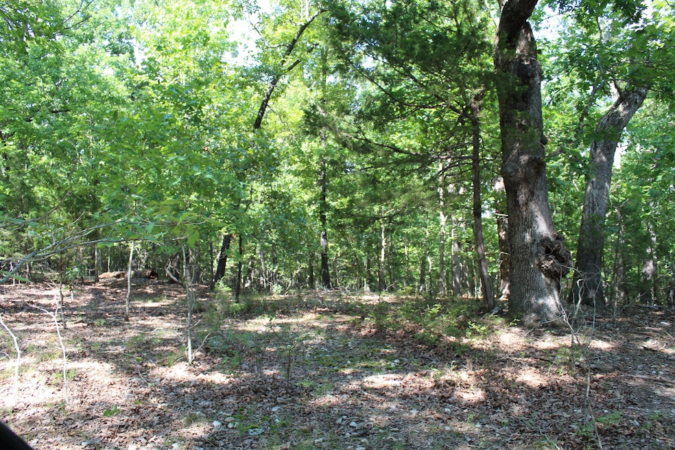 Lot 10-3