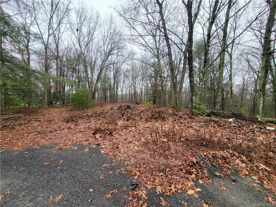 85 Somarelli Rd, Deerpark, NY 12746 - photo 1