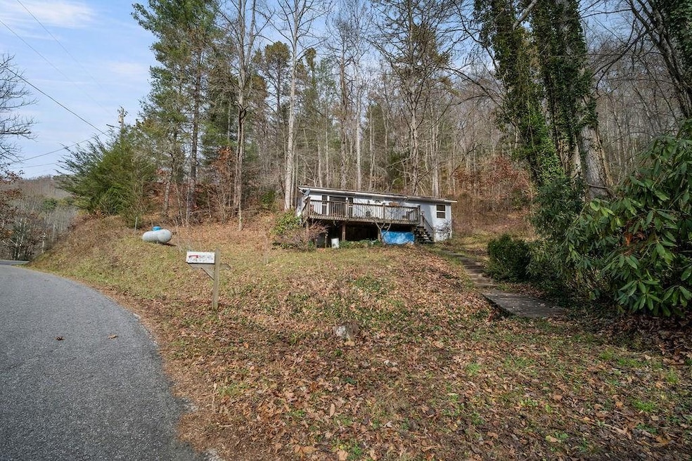 7065 Ellijay Rd, Franklin, NC 28734 - photo 1