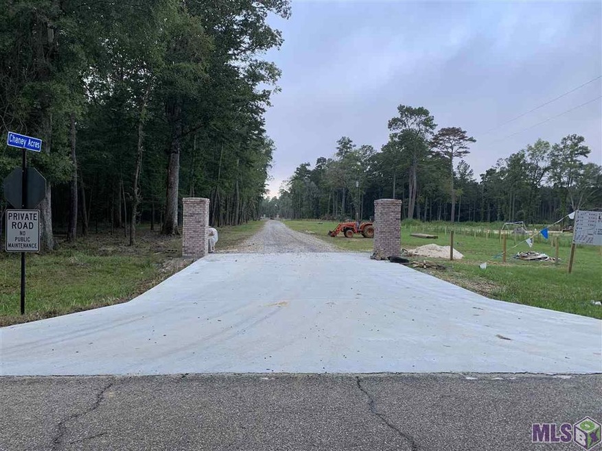 B-1-A-3 Zeb Chaney Rd, Zachary, LA 70791 - photo 1