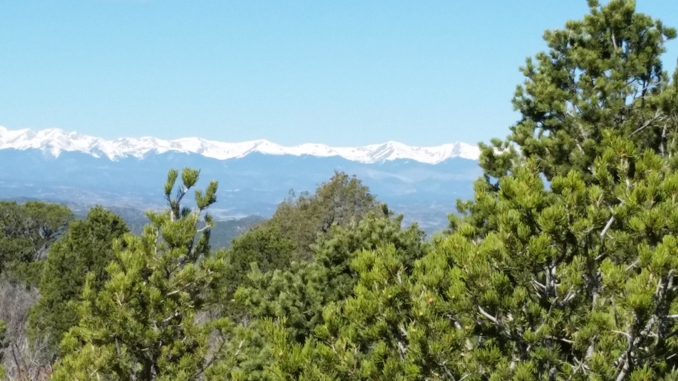 Western view thru the Pines.jpg