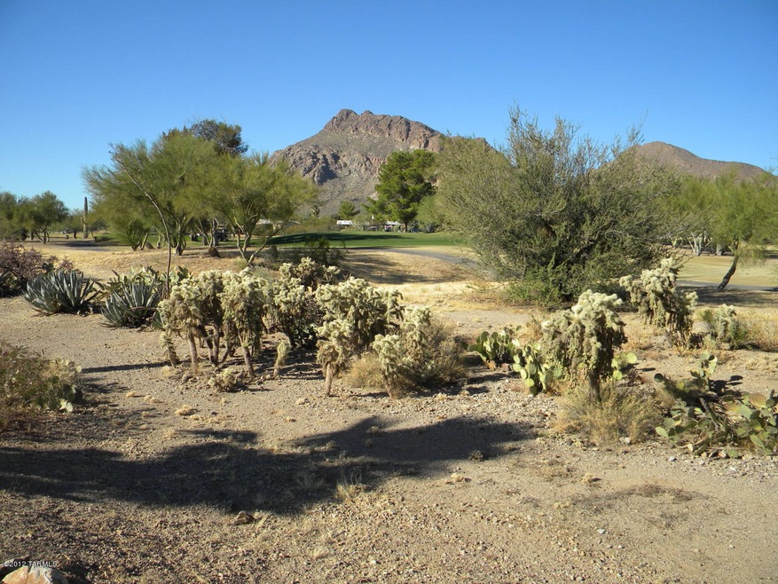 5916 W Rafter Circle - Backyard
