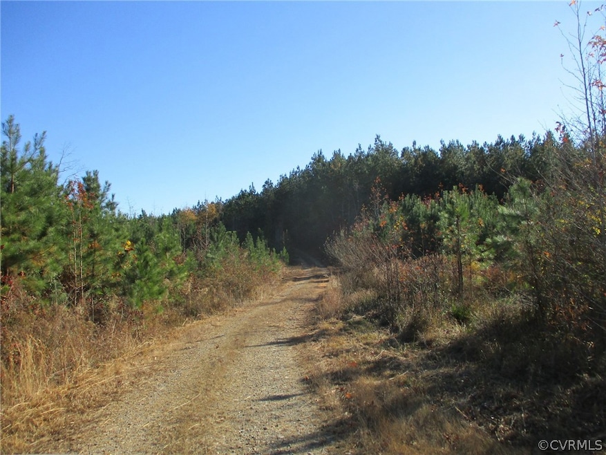 1950 Manakintown Ferry Rd, Midlothian, VA 23113 - photo 1