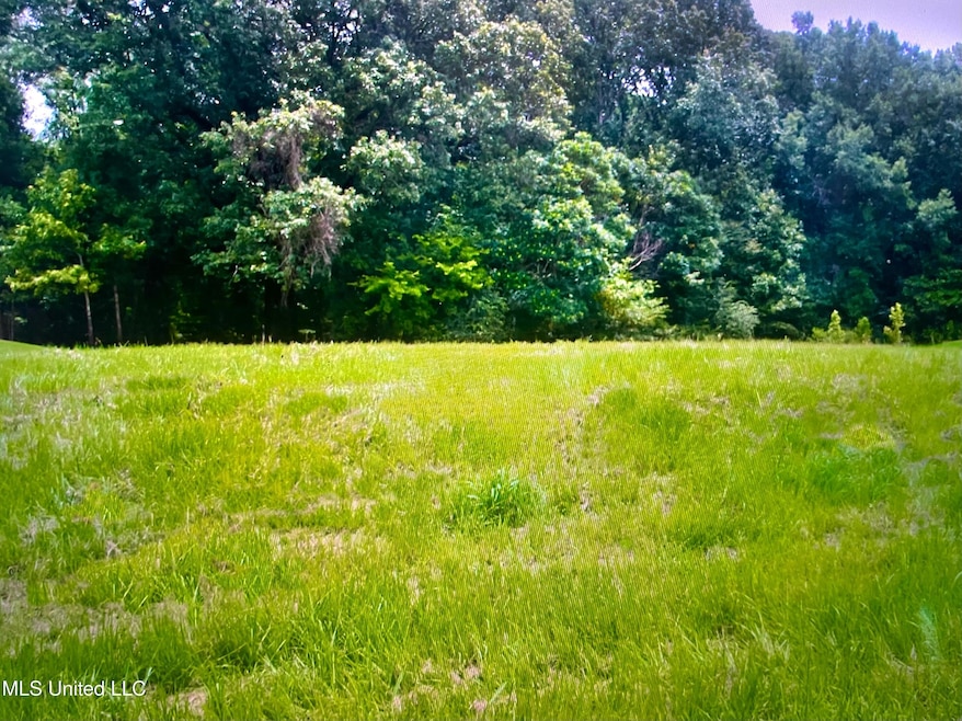 0 Chestnut Hill Rd unit 4119139, Flora, MS 39071 - photo 1