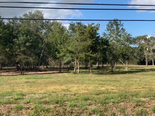 2602 County Road 160 Lot 24, Alvin, TX 77511 - photo 1