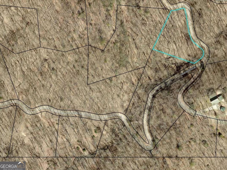 1.01 AC Heards Ridge, Morganton, GA 30560 - photo 1