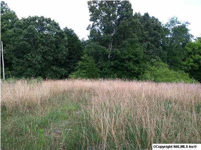 176 Dossett Dr, Grant, AL 35747 - photo 1