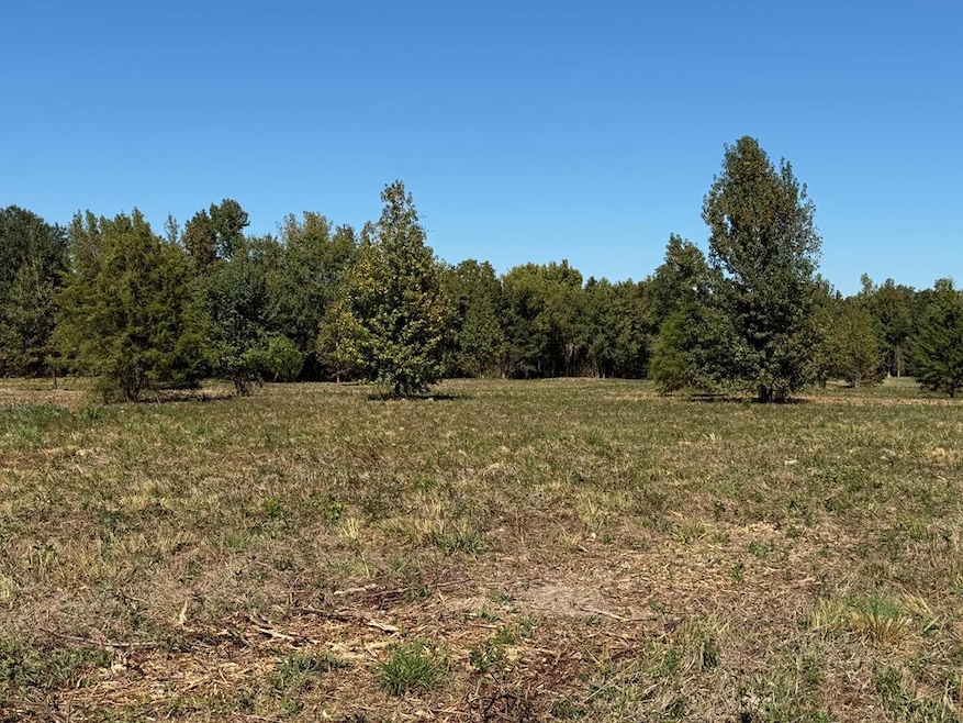 TBD Deerfield Ln, New Boston, TX 75570 - photo 1