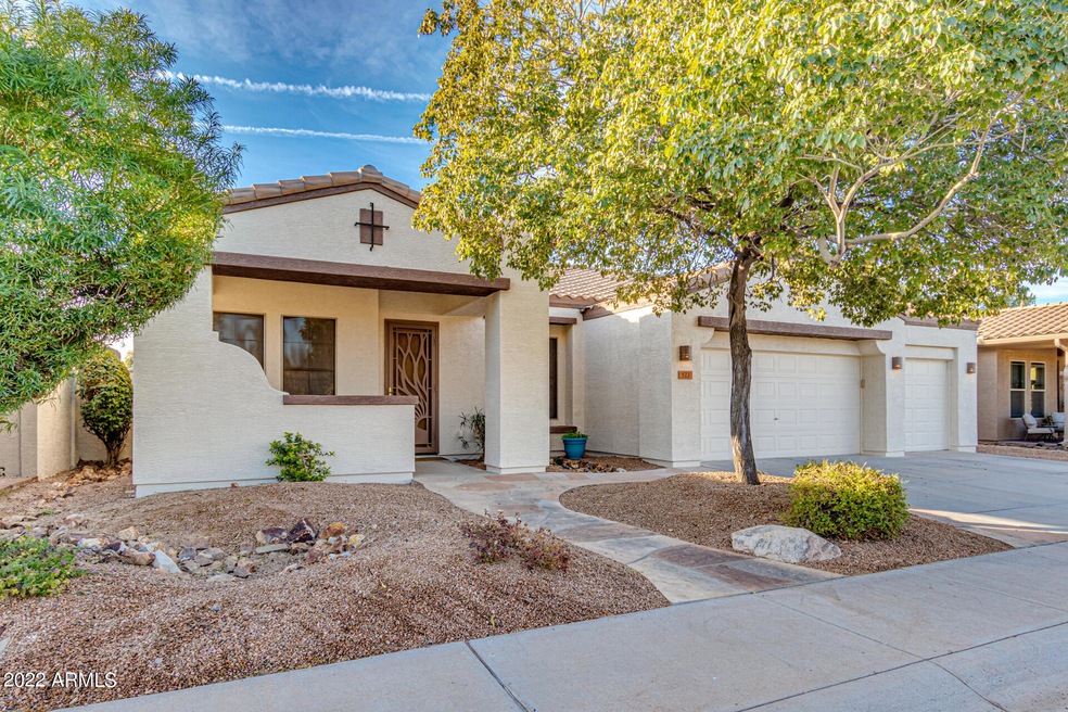 01 - Carob Drive