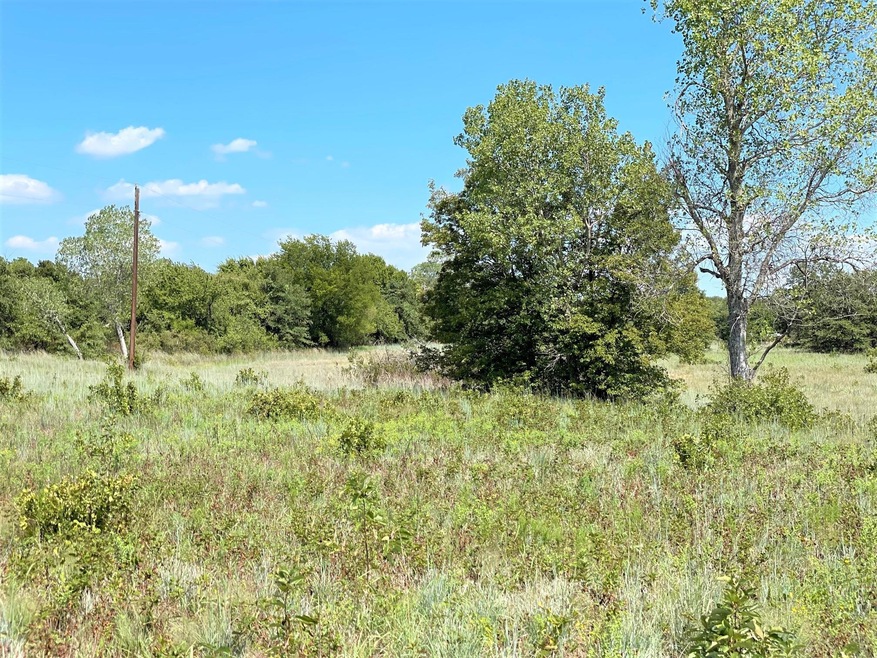 1200 Ross Ln, Springtown, TX 76082 - photo 1