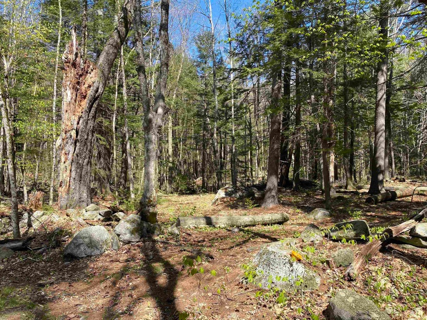 Map 214 Lot 99 Ashley Rd, Antrim, NH 03440 - photo 1