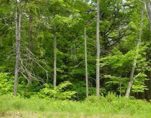 Land/Lot.