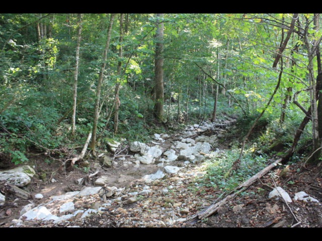 74.45 AC Macedonia Rd, Cookeville, TN 38506 - photo 1